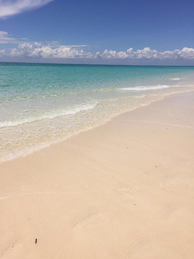 Villa Thamani Zanzibar 프와니 음찬가니 외부 사진